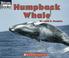 Cover of: Humpback whale