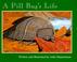 Cover of: A Pill Bug’s Life