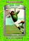 Cover of: Briana Scurry