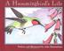 Cover of: A Hummingbird’s Life