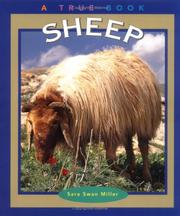 Cover of: Sheep by Sara Swan Miller