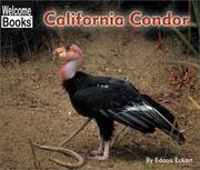Cover of: California Condor (Welcome Books)