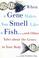 Cover of: When a gene makes you smell like a fish and other amazing tales about the genes in your body