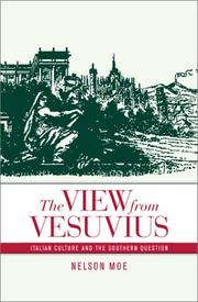 The View from Vesuvius by Nelson Moe