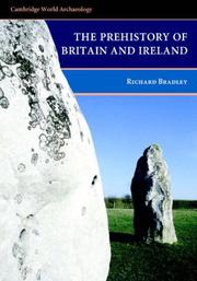 The Prehistory of Britain and Ireland (Cambridge World Archaeology) by Richard Bradley