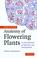 Cover of: Anatomy of Flowering Plants