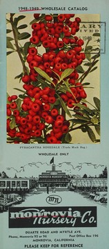 Cover of: 1948-1949 wholesale catalog