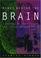 Cover of: Minds behind the Brain