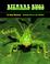 Cover of: Bizarre bugs