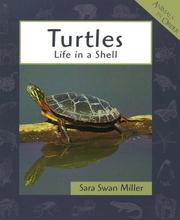 Cover of: Turtles: life in a shell