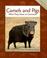 Cover of: Camels and pigs