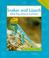 Cover of: Snakes and Lizards