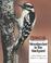 Cover of: Woodpecker in the Backyard (Wildlife Conservation Society Books)
