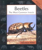Cover of: Beetles by Sara Swan Miller