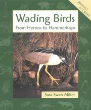 Cover of: Wading Birds: From Herons to Hammerkops (Animals in Order)
