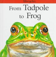 Cover of: From Tadpole to Frog (Lifecycles) by David Evelyn Stewart