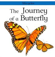 The journey of a butterfly by Carolyn Scrace