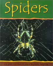 Cover of: Spiders (Minibeasts) by 