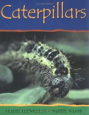 Caterpillars (Mimibeasts) by Claire Llewellyn