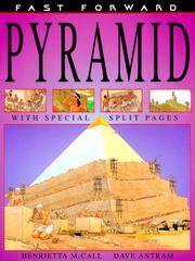 Cover of: Pyramid (Fast Forward Series)