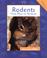 Cover of: Rodents