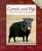 Cover of: Camels and Pigs