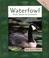 Cover of: Waterfowl