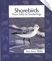Cover of: Shorebirds by Sara Swan Miller