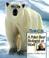 Cover of: A Polar Bear Biologist at Work (Wildlife Conservation Society Books)