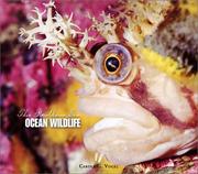Cover of: Ocean Wildlife (The Restless Sea) by Carole Garbuny Vogel