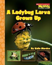 Cover of: A Ladybug Larva Grows Up (Scholastic News Nonfiction Readers)