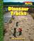 Cover of: Dinosaur Tracks