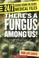 Cover of: There's a Fungus Among Us: True Stories of Killer Molds (24/7: Science Behind the Scenes)