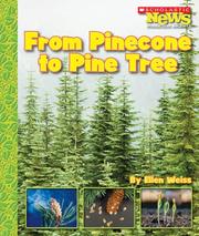 Cover of: From Pinecone to Pine Tree by Ellen Weiss