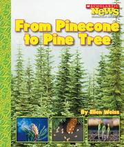 Cover of: From Pinecone to Pine Tree
