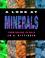 Cover of: A look at minerals