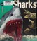 Cover of: Sharks (Insiders)