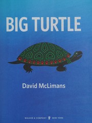 big-turtle-cover