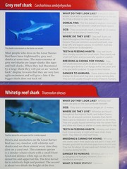 Cover of: Fact file: sharks & rays