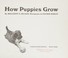 Cover of: How puppies grow