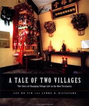 Cover of: A Tale of Two Villages by Lee Ho Yin, Lynne Distefano