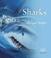 Cover of: Sharks (Life)