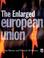 Cover of: The enlarged European Union