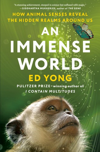 Book cover for An Immense World by Ed Yong,close-up of a monkey’s face looking up at a blue butterfly.