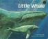 Cover of: Little whale