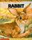 Cover of: Rabbit