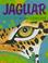 Cover of: Jaguar