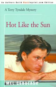 Cover of: Hot Like the Sun (Terry Tyndale Mysteries)