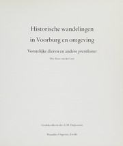 Historische wandelingen in Voorburg en omgeving by Kees van der Leer