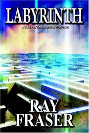 Cover of: Labyrinth: A Maze of Metaphysical Mysteries